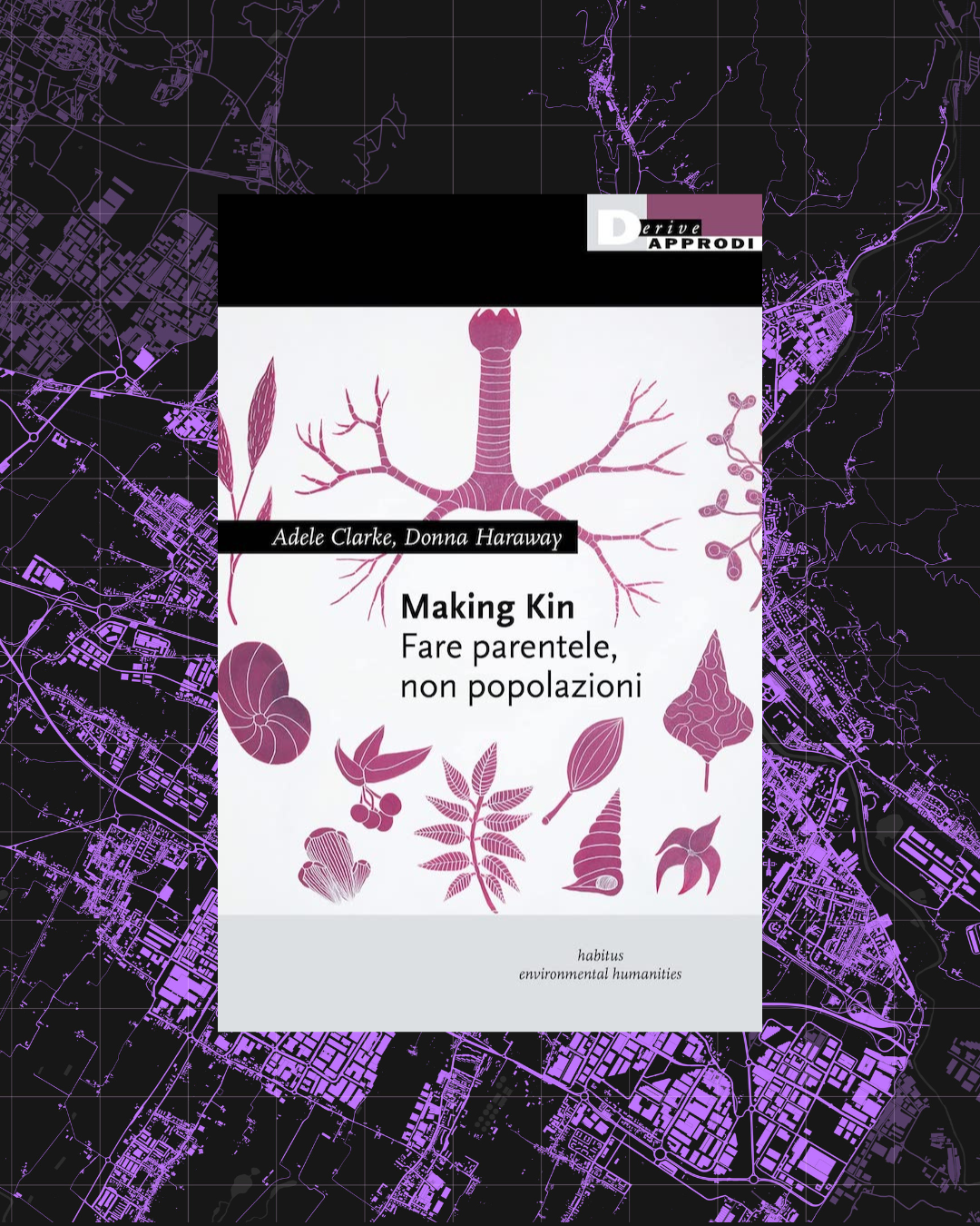 10 - Making Kin. Fare parentele, non popolazioni